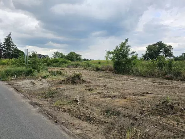 354041673 656558156501680 393820161619312289 n