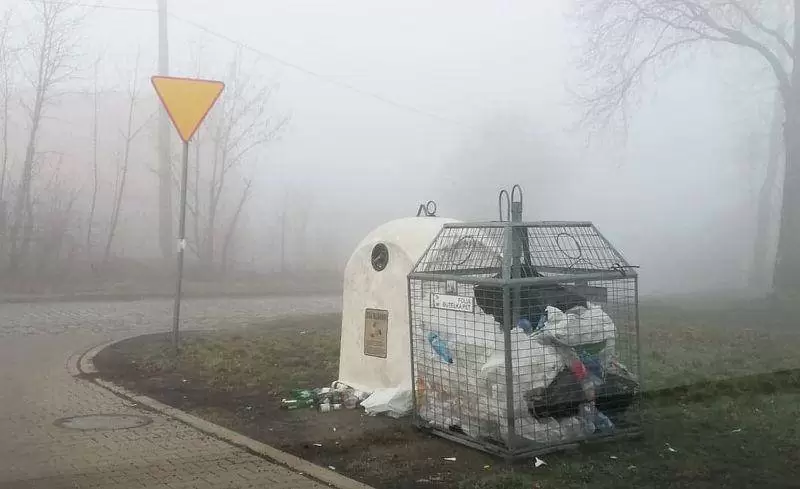 52105053 308279076549903 7178619080247607296 n