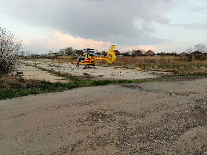 56276039 1322822197857105 8765056403116130304 o