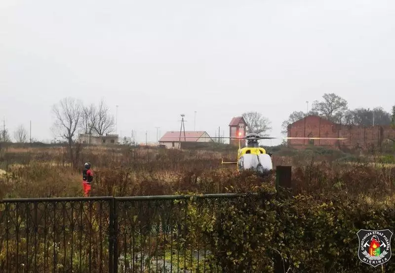 70392165 1733482780128821 8071399591171325952 n 1