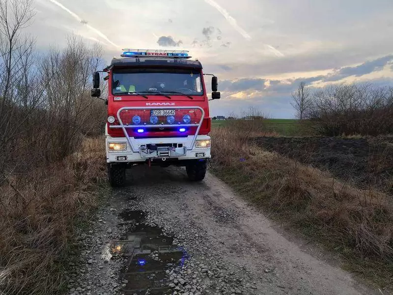 FB IMG 1552895411713