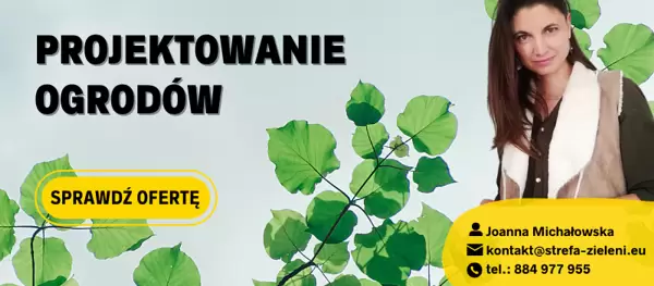 projektowanie ogrodow