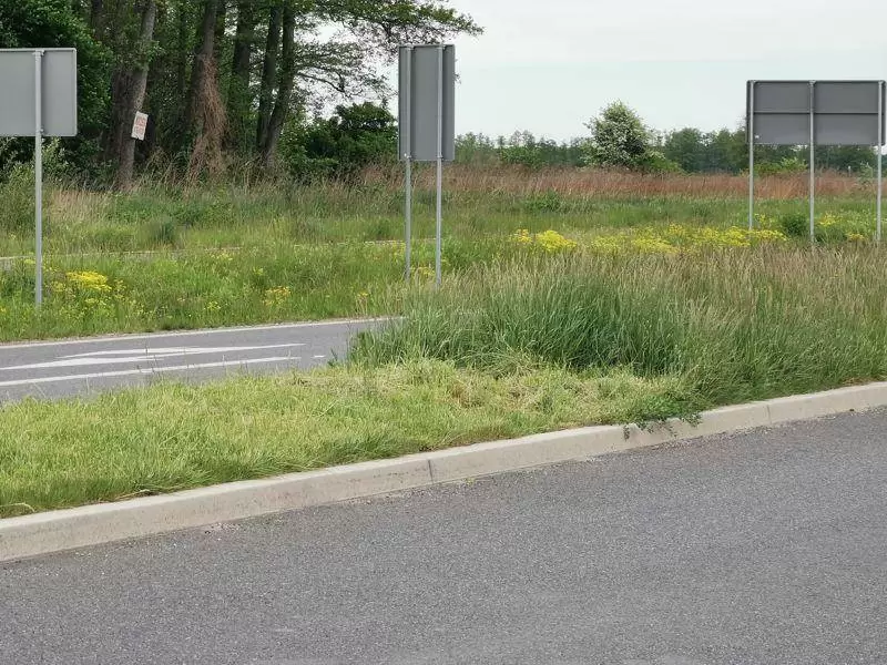 wysokosc po skoszeniu i pozostawione zarosla