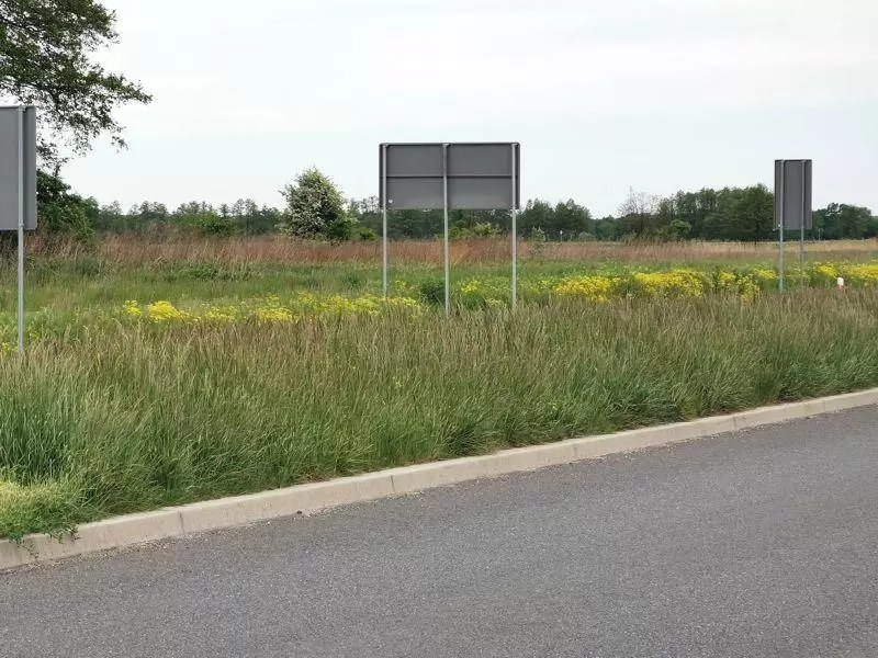 wysokosc zarosli zaslaniajaca drugi pas