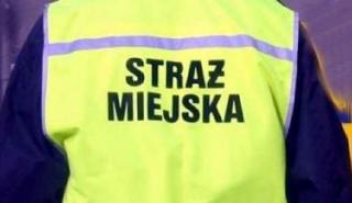 Incydent na Święcie Wina i półnaga kobieta - raport straży miejskiej