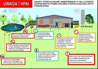 W Szczepanowie wystąpił pierwszy przypadek wysoce zjadliwej grypy ptaków