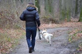Pilnuj swojego psa! Za niefrasobliwość słono możesz zapłacić