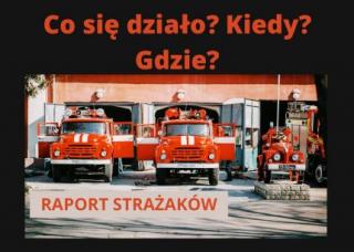 Co się działo? Kiedy? Gdzie? (raport strażaków)