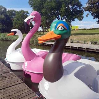 Nowy flaming i łabędź na przystani akwenu Kajaki