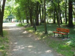 Kto uszkodził lampę w parku w Lutyni?