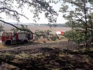 Pożar lasu gasiło 6 zastępów straży pożarnej