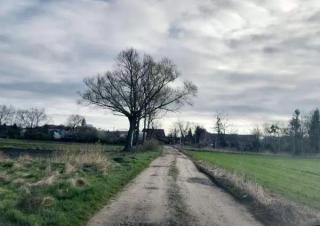 Powstaną nowe drogi transportu rolnego na terenie Gminy Środa Śląska