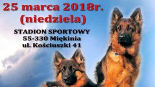  WYSTAWA OWCZARKÓW NIEMIECKICH W MIĘKINI