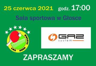 Turniej tenisa stołowego na zakończenie roku szkolnego