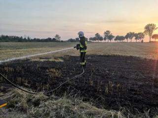 Za to grozi kara aresztu, grzywny, a nawet pozbawienia wolności!