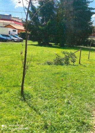 Wandalizm na porządku dziennym… Gdzie są patrole policji???