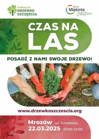 Czas na las - fundacja Drzewko Szczęścia zaprasza do wspólnego sadzenia drzew!