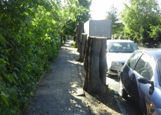 WYCINAJĄ WIEKOWE LIPY W MALCZYCACH (list do redakcji)