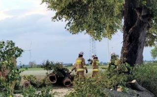Burze, pożary i zdarzenia drogowe [raport strażaków]
