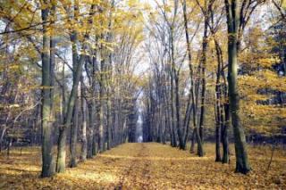 Jak nazwać park? Gmina Miękinia i Aktywni Razem ogłosili konkurs