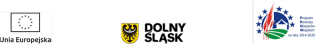 Świetlica w Wilkszynie pnie się w górę