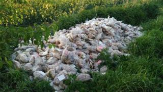 Setki wyrzuconych chlebów w Rusku