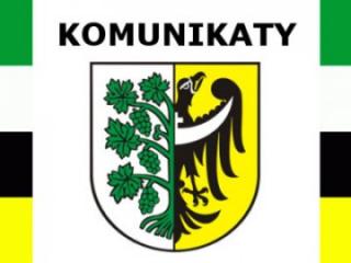 Konsultacje społeczne płatnej strefy parkowania w mieście powiatowym Środa Śląska
