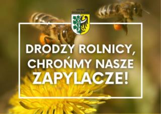 Gmina Środa Śląska: Chrońmy nasze zapylacze!