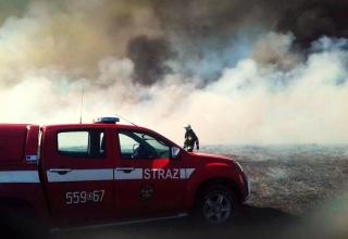 STRAŻACY APELUJĄ: NIE WYPALAJ TRAW