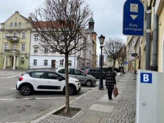 Nowoczesne parkometry już wkrótce w Środzie Śląskiej