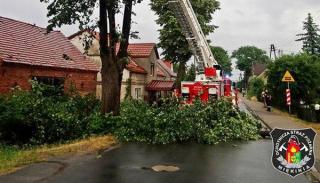 DRZEWO RUNĘŁO NA DACH, USZKODZIŁO TEŻ OGRODZENIE