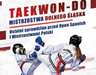 Z dolnośląskich mistrzostw Taekwon-do wrócili z medalami