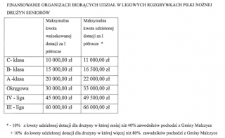 Odra Malczyce niezadowolona z wyników konkursu ofert. Drużyna opublikowała oświadczenie, wójt odpowiada