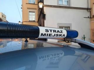 Straż Miejska z dostępem do bazy CEPiK