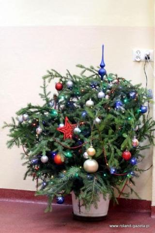 Odbiór świątecznych drzewek w gminie Środa Śląska
