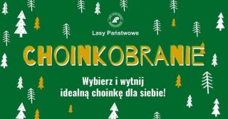 Choinkobranie 2024 w Nadleśnictwie Miękinia