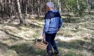 Grzybiarze! Apel o rozwagę