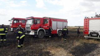 W UJEŹDZIE DOLNYM SPALIŁO SIĘ KILKA HEKTARÓW UPRAW