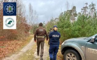 Wspólne działania funkcjonariuszy Policji oraz Straży Leśnej w ramach akcji „Choinka”