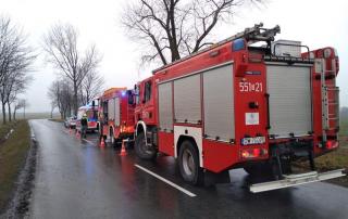 Zasłabł za kierownicą. Auto uderzyło w drzewo