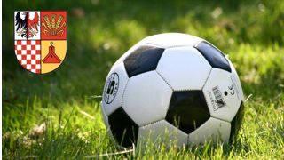GMINNY ZWIĄZEK SPORTOWY W UDANINIE Z DOTACJĄ