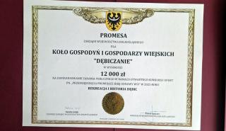 Dębiczanie laureatami konkursu – wsparcie dla historii i rekreacji wsi Dębice