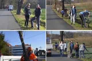 Zieleńszy powiat. Posadzili drzewka i krzewy