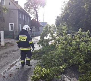 Powalone drzewo i pożar ścierni