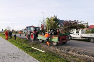 Jesienna akcja powiatowych nasadzeń rozpoczęta