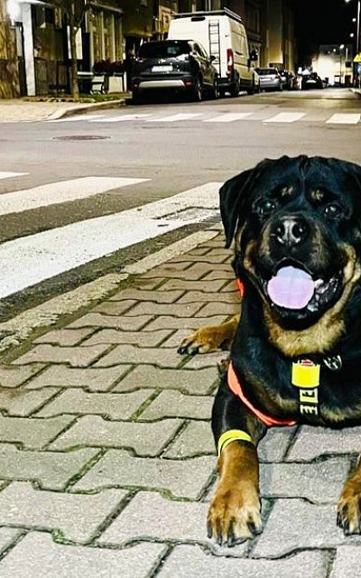 Fot. KPP w Środzie Śląskiej