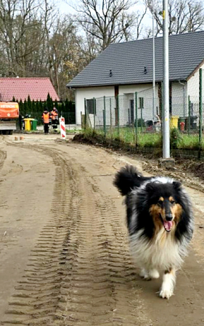 Fot. Gmina Środa Śląska