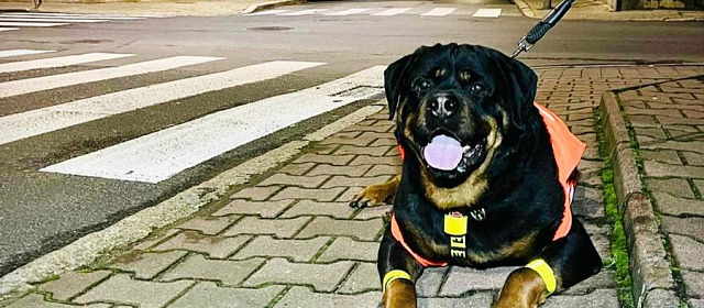 Fot. KPP w Środzie Śląskiej