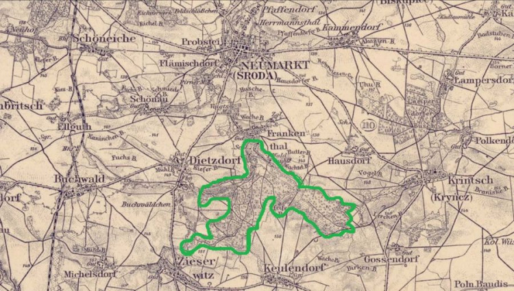 Pielęgnacja lasu von Kramsty (ciekawostka historyczna)