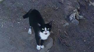 Dla potencjalnego znalazcy przewidziana nagroda!